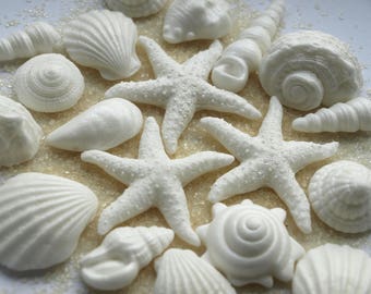 May include: A collection of white sugar cookie decorations shaped like seashells and starfish. The cookies are scattered on a surface that resembles sand.