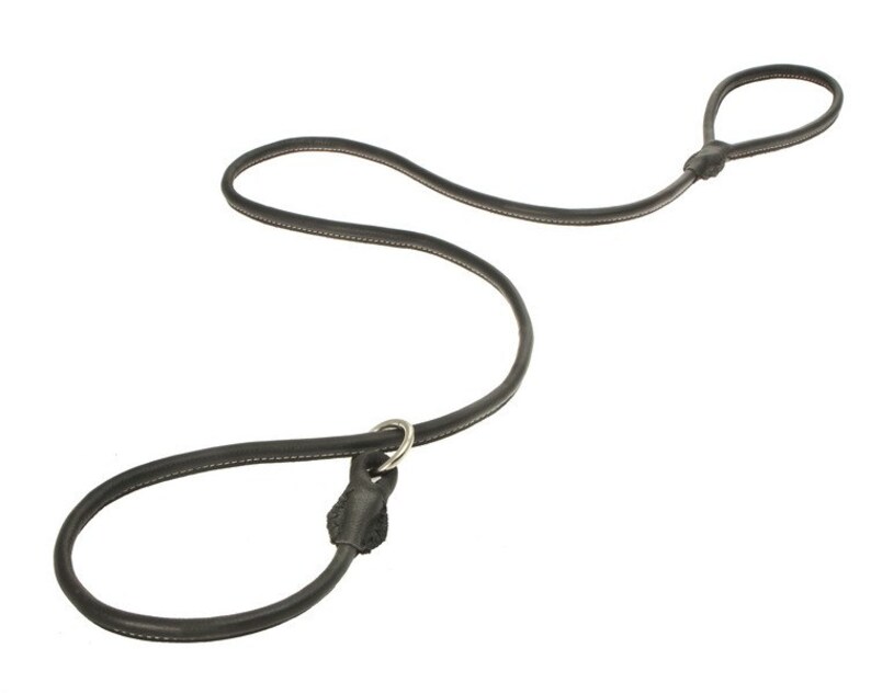 Rolled Round Floater Leather Dog Slip Lead Leash Black Pink Orange Green Colors 4 Feet Size S M L XL Soft Durable Dog Show New Design 2016