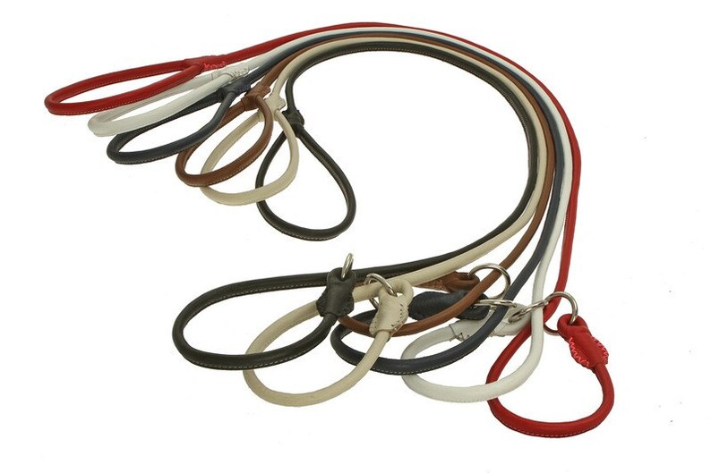 Rolled Round Floater Leather Dog Slip Lead Leash Black Pink Orange Green Colors 4 Feet Size S M L XL Soft Durable Dog Show New Design 2016