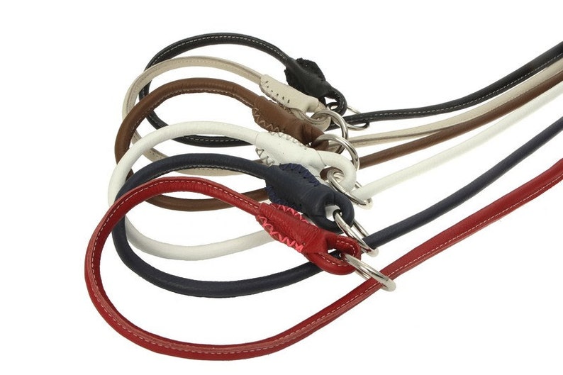 Rolled Round Floater Leather Dog Slip Lead Leash Black Pink Orange Green Colors 4 Feet Size S M L XL Soft Durable Dog Show New Design 2016