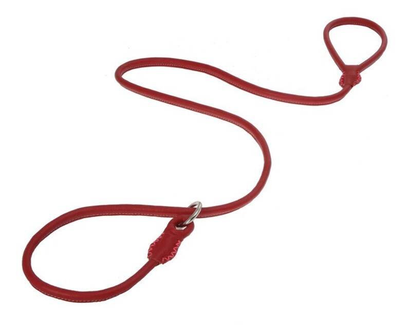 Rolled Round Floater Leather Dog Slip Lead Leash Black Pink Orange Green Colors 4 Feet Size S M L XL Soft Durable Dog Show New Design 2016