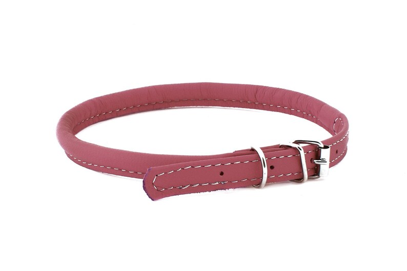 Maison de poupées miniature collier de chien plomb /& 3 pet toys choix de 8 couleurs fait main