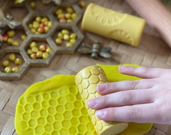 Vamos a rodar - Insectos del jardín