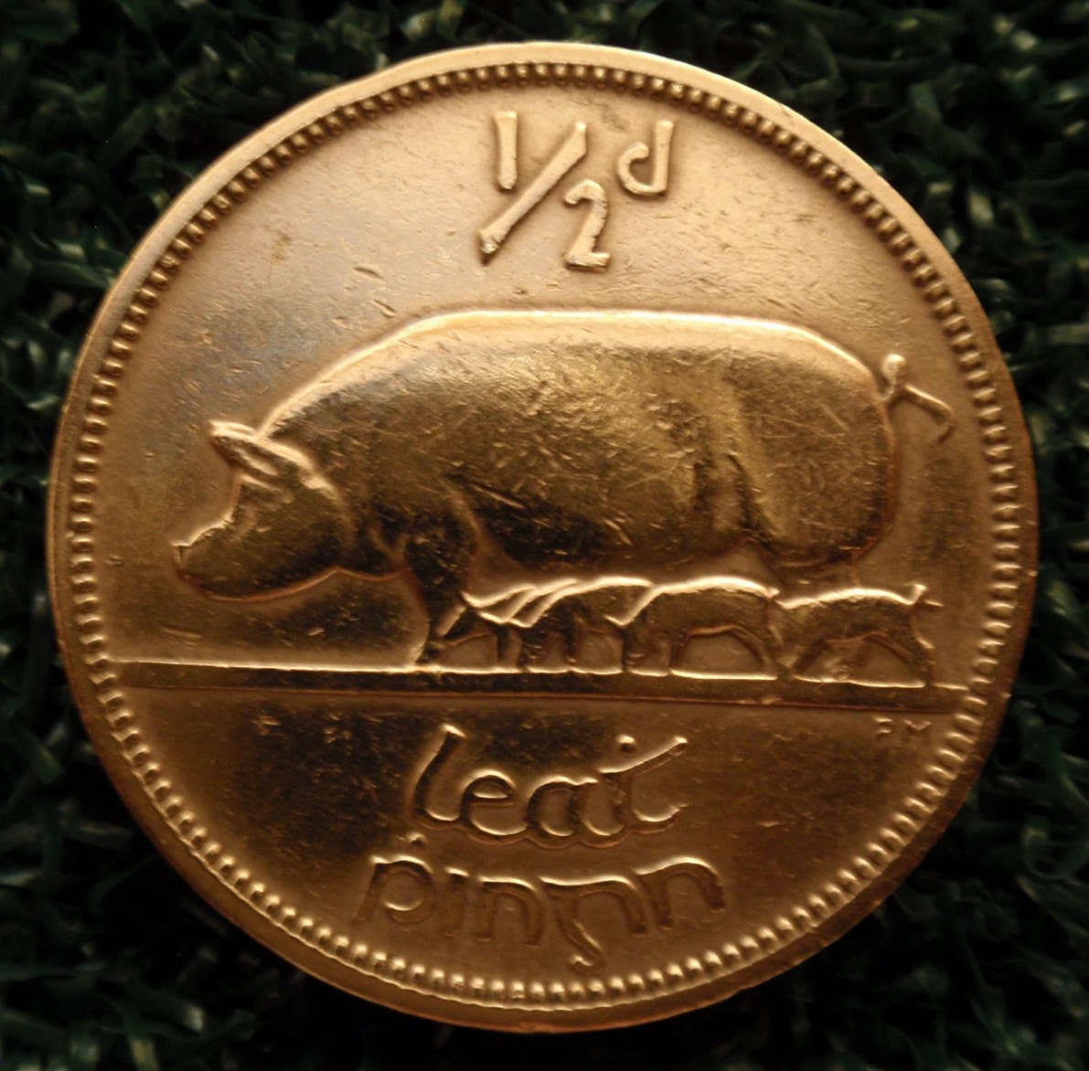 Irish 1/2d Penny Halfpenny Half Penny Ha' Penny Sow Etsy