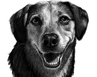 Custom Pet Portraits - B&W