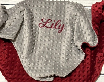 Personalized Minky Baby Blanket |  Minky Dot | Handmade Baby Gift | Baby Shower Present