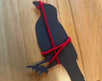 Death Cab for Cutie Transatlanticism Party Decor