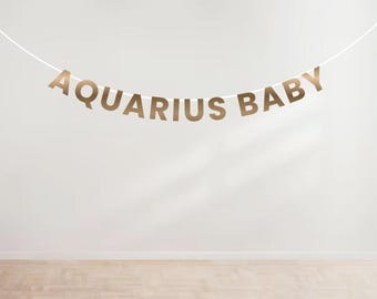Aquarius Baby | B*tch | Princess Glitter Banner | Astrology Birthday | Zodiac Banner