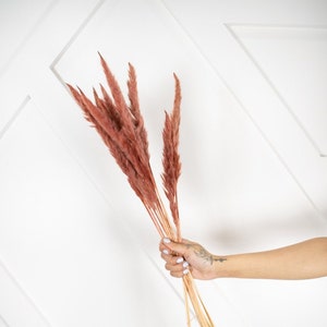 6 piezas MINI 30&quot; Pampa naranja quemada/Pampas de otoño/Decoración de otoño/Decoración del hogar/Decoración de bodas/Boda naranja/Mini pampas/Decoración de bodas