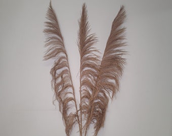 5 PIÈCES UVA NATURELLES Tige/Pampa/Tige naturelle/Branches naturelles/Décor rustique/Décoration de maison/Décoration d'intérieur/Mariage d'hiver/Centre de table de mariage