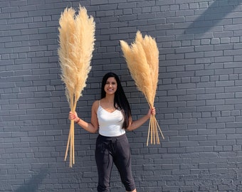 55" or 45" 1 Piece NATURAL Pampas Grass/Assorted Sizes/Home Decor/Rustic Wedding Decor/ Brown Pampas/ Ivory Pampas/ Natural Pampas/