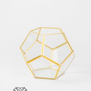 6-24pcs Bulk Gold Hexagon/soccer 6.5x8"/Geometric Terrarium/Wedding Decor/Succulent Planter/Air Plant/Terrarium/Terrarium Centerpiece