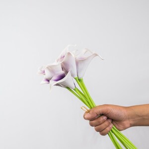 May include: A bouquet of white and purple calla lilies with green stems. The flowers are held in a hand.