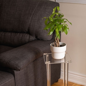 May include: A clear acrylic plant stand with a square top and four legs. A potted plant with green leaves is on the top of the stand. The stand is on a wooden floor.