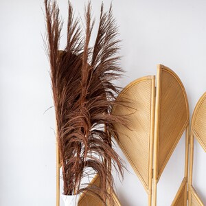 5FT-3 Pc BROWN UVA STALK/Pampas/Natural Stalk/Natural Branches/Rustic Decor/Home Decoration/HomeDecor/Winter Wedding/Wedding Centrepiece