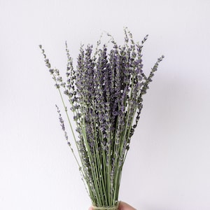 Mazzo di lavanda viola essiccata da 16&quot;/Rosa chiaro/Ringraziamento/Apparecchiatura da tavola/Decorazione per la casa/Decorazione/Fiori secchi/Stagione autunnale/Decorazione per interni/Naturale