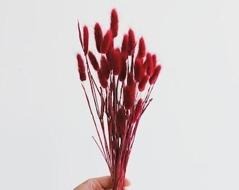 50 Piece RED BUNNY TAILS 26"/ Pampas Bundle/Home Decor/ Rustic Wedding Decor/Dried Bunny Tail/ Ivory Pampas/Natural Pampas/2.5ft Long Pampas
