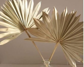 Sun Palms 1-6pc - 10-16&quot;/Natural/Gold/Silver/Home Decor/Vase Decor/Centerpiece Wedding Decor/Natural Palms/Fan