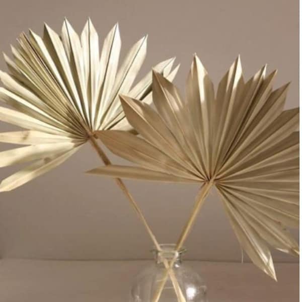 SUN PALM 1-6pc - 10-16"Dried SUN Natural Palm Spears/ Natural/Gold/Silver/ Home Decor/Vase Decor/Centerpiece Wedding Decor/Flowers