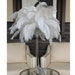 see more listings in the Feather Centerpieces section