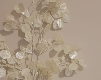 30"  Silver Dollar Translucent Spray/Greenery/Succulent/Terrarium DecorWedding Centerpiece Decor/Faux Flower/Silk Flowers/Flower Bouquet