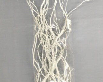White Tall Branches Etsy