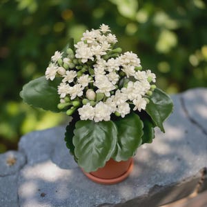 8.25&quot; White Kalanchoe Bush/Painted Neetle/ Foliage Bushel/Vines For Wedding/Greenery/Wedding Centerpieces/Home Decor/Faux Vines/GreenGarland