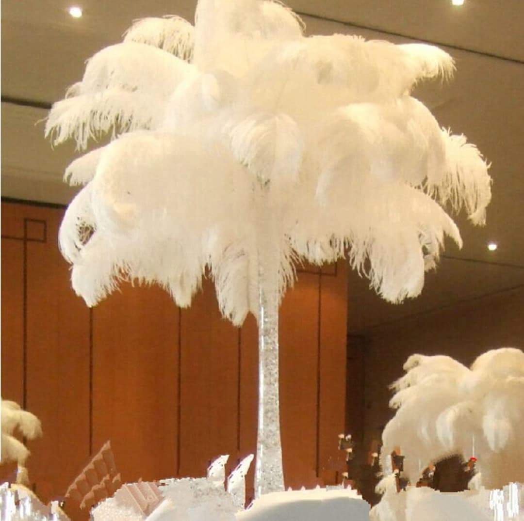 Wholesale Large White Ostrich Feathers for Crafts Wedding Party Table  Centerpiece Home Vase Decor Jewelry Decoration Accessories - AliExpress