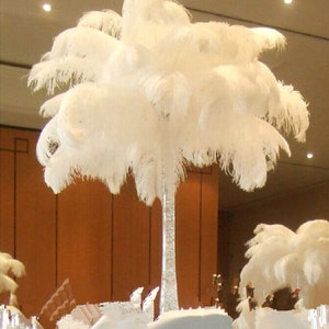 Balsacircle 12 Pcs 13 inch-15 inch Long Authentic Ostrich Feathers - Centerpieces Wedding Party Table Decorations, Beige