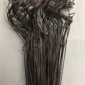 May include: A bunch of black curly willow branches. The branches are long and thin, and they are all twisted and curled. The branches are arranged in a loose bundle.