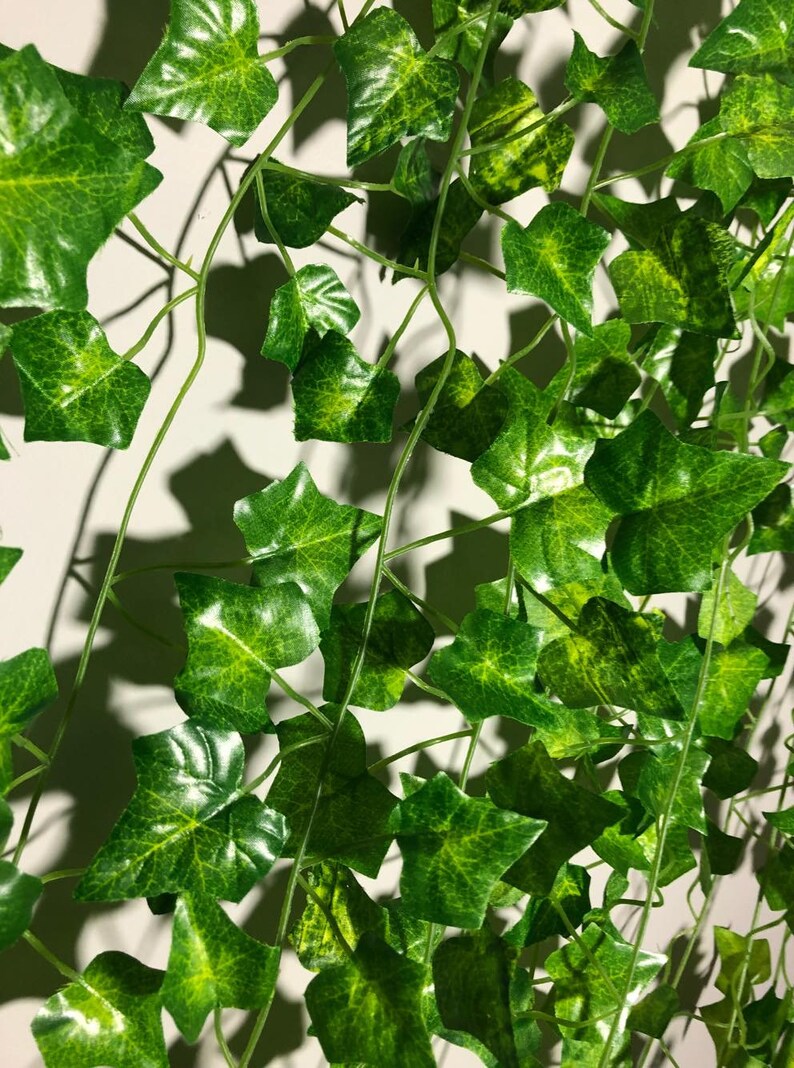 12 Pcs Faux Ivy Garlands/vines for Wedding/greenery/wedding Etsy