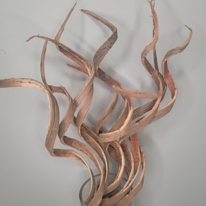 24&quot; -10pc Natural Curly Coco Twigs/Branches/Centerpiece decor/Winter wonderland/Decoration Branches/Gold Branch/Glitter Branch/Silver Branch