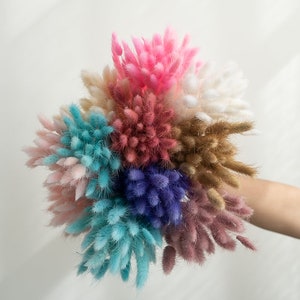 Paquete de 50 colas de conejo, pampas, decoración del hogar, decoración rústica para bodas, cola de conejo seca, pampas color marfil, pampas naturales, pampas de 0,76 m de largo.