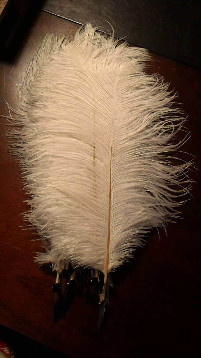 10 pcs Ostrich Feather kit for Christmas Decorations/ Tree