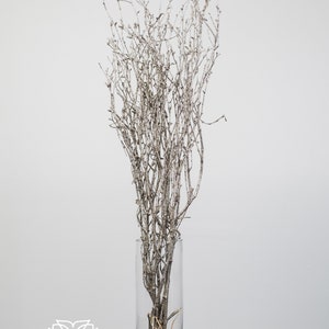 32" Silver Sparkly Birch Twig /Curly Twigs/Branches/Centerpiece decor/ Decoration Branches/Gold Branches/Glitter Branches/Silver Branches