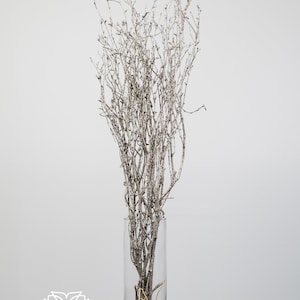 32&quot; Silver Sparkly Birch Twig /Curly Twigs/Branches/Centerpiece decor/ Decoration Branches/Gold Branches/Glitter Branches/Silver Branches