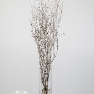 32" Silver Sparkly Birch Twig /Curly Twigs/Branches/Centerpiece decor/ Decoration Branches/Gold Branches/Glitter Branches/Silver Branches