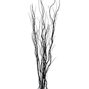 Black Willow Natural Branch/Curly Twigs/Branches/Centerpiece decor/ Winter/Decoration Branches/Branches/Glitter Branches/Silver Branches