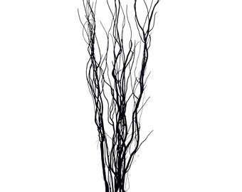 May include: A bunch of black willow branches, perfect for adding a touch of natural beauty to your home decor.