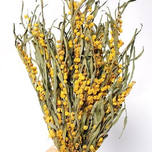 16&quot; Yellow Mimosa Stems/Fall/Thanksgiving/Table Setting/Home Decor/Faux Decor/Faux Decoration/Fall Season/Indoor Decor/Artificial