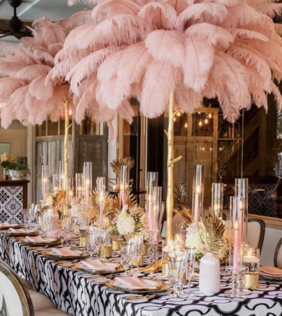 Happy Feather 16-18 inch Pink Ostrich Feathers Cratfs for Wedding Party Centerpieces Home Decoration DIY Craft Pack of 10