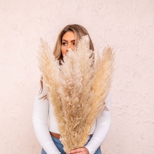 Golden Pampas 45" and 25" Natural Pampas Grass/Pampas Bundle/Home Decor/Rustic Wedding Decor /Brown Pampas/Fluffy/Boho Chic/Boho Pampas