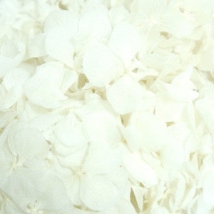 Preserved Bleached Hydrangea/Floral Spray/Florals/Wedding/White/Greenery Bushel/Outdoor Wedding Greenery/Centerpiece Decor/Faux Flower