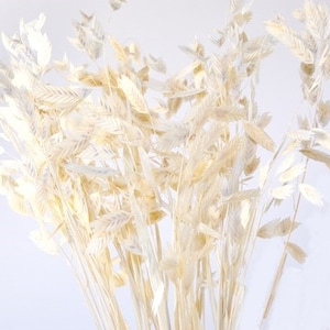 26&quot; Bleached Diamond Grass/Blue pampas Grass/Assorted Sizes/Home Decor/Wedding Decor/Dusty Blue Wedding/Mini Pampas/Wedding Decor