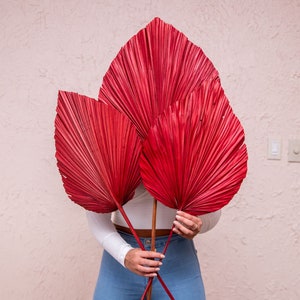 3pc 50" Red Anahaw/ivory Palm/red palm/brown palm/Home Decor/VaseDecor/CenterpiecWedding Decor/Silk Flowers/Anahaw leaves