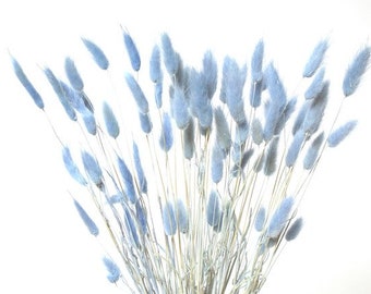 90PC Light Blue Bunnytails/Home Decor/ Rustic Wedding Decor/Dried Bunny Tail/ Ivory Pampas/ Natural Pampas/ 2.5ft Long Pampas
