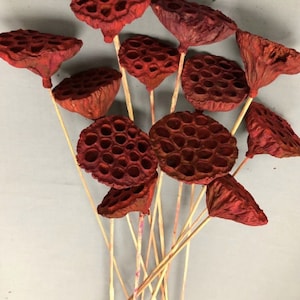 Lotus Pods Red Branches/Curly Twigs/Branches/Centerpiece decor/ Decoration Branches/Gold Branches/Glitter Branches/Silver Branches