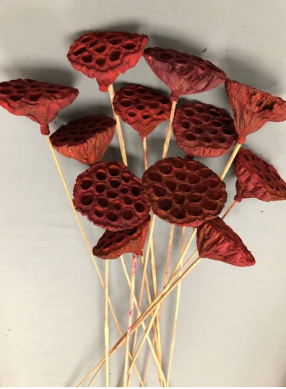 Lotus Pods Red Branches/Curly Twigs/Branches/Centerpiece decor/ Decoration Branches/Gold Branches/Glitter Branches/Silver Branches