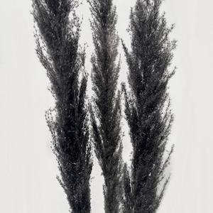 black 45" Natural Pampas Grass/Pampas Bundle/Home Decor/Rustic Wedding Decor /Brown Pampas/Fluffy/Boho Chic