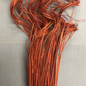 May include: A bunch of orange dried grass stems, twisted and curled, for use in floral arrangements or crafts.